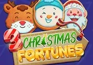 3 Christmas Fortunes